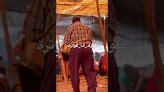 مبارك الشيشاوي احسن غياط مع احسن رقصة فالشياظمة watra وترة [upl. by Norvol]