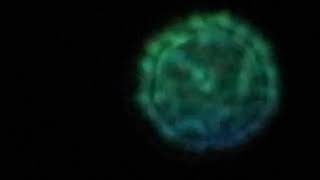 Cymatics  Stars  Sonoluminescence  Nikon p1000 [upl. by Yatzeck847]