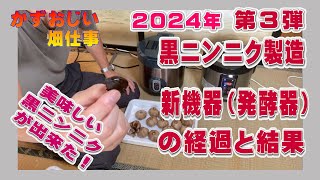 黒ニンニク製造第３弾～新機器での２回目と３回目の黒ニンニク完成結果は？：2024年黒にんにく発酵 [upl. by Ching276]