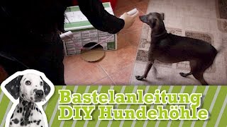 DIY Hundespielzeug selber machen  Hundespielzeug selber bauen [upl. by Hertha]