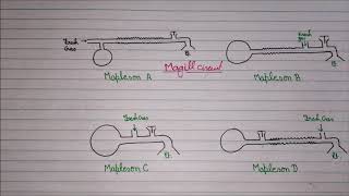 Mapleson Circuit  Anaesthesia Circuit Breathing circuit NEET PG [upl. by Ecyrb]