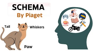 Piaget  Schema in 2 minutes  Constructs and Critical Perspectives [upl. by Harberd]