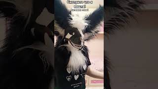 duet halloween spedup music edit furry lofihiphoptuneone newsongfreefirebeat cat [upl. by Dayir]