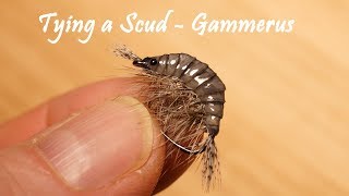 Tying a Scud  Gammarus by William Ensiferum [upl. by Ahsiuqat846]