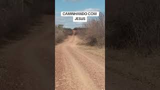 CAMINHANDO COM JESUS reflexão [upl. by Osrit251]