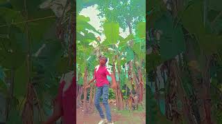 Etho sayana 🥰🥰😍❤️ song music lovesong love Swobhu Asokan [upl. by Retxab]