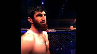 Magomed Ankalaev Vs Ion Cutelaba 🔥 mma ufc boxing [upl. by Nesral571]