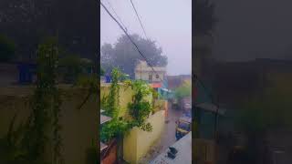 Barish Hai kya hai MaaChd gayi 😱😱 dr1xdon pune dehuroad rain punecity dehu funny punekar [upl. by Olegnad]