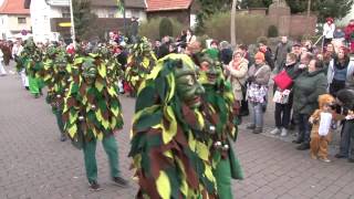 Narrentreffen Urloffen 2014 kleiner Ausschnitt [upl. by Teteak170]