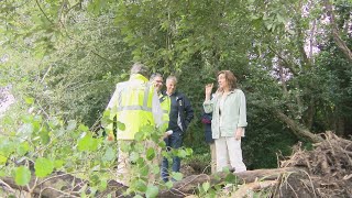 Augas de Galicia executa traballos de limpeza e restauración no río de Artes [upl. by Fitzgerald]