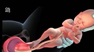 pregnancy tips\\ cesarean delivery [upl. by Anama604]