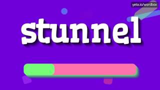 STUNNEL  HOW TO PRONOUNCE STUNNEL stunnel [upl. by Frodin]