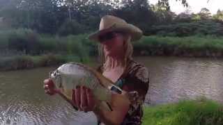 Tilapia Fishing [upl. by Karissa]