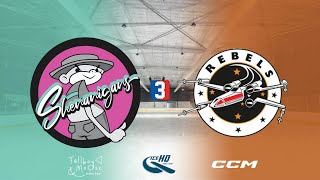 Shenanigans v Rebels  Div 3  22nd October  IceHQ Rec League ice hockey [upl. by Navad977]