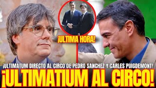 ¡ULTIMATUM INMINENTE ¡ULTIMATUM DIRECTO al CIRCO de PEDRO SANCHEZ y CARLES PUIGDEMONT [upl. by Anzovin509]