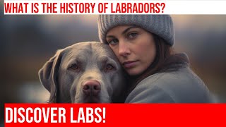 The History of Labrador Retrievers Origins amp Development [upl. by Gorman]