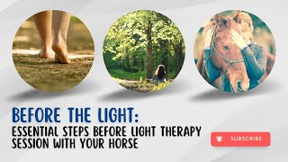 Before the Light Essential Steps for a Successful Horse Light Therapy Session [upl. by Oht]