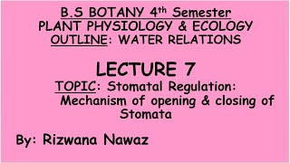 Mechanism of opening amp closing of stomata by Rizwana Nawaz [upl. by Eimoan]