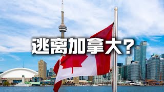 逃离加拿大回流中国？去美国、澳洲、新西兰？房价、物价暴涨，移民系统崩溃，治安恶化，冷的要命，加拿大还有希望吗？ [upl. by Aynna]