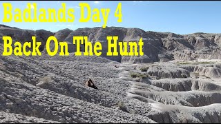 Badlands Fossil Hunting Day 4 Back on the hunt thefinders fossil badlands bones [upl. by Rafe454]