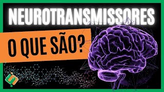 Neurotransmissores  Introdução [upl. by Dj]