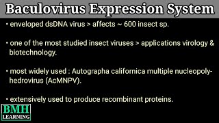 Baculovirus Expression Vector  Insect Virus  Baculovirus Expression system  BCV Insect Cell Lines [upl. by Akehsat]