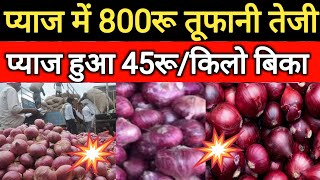 Alwar Mandi pyaj ka bhav 31 october 2024onionratestoday [upl. by Netnert]