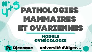 Gynéco  Anapath  0405 Pathologies mammaires et ovariennes Pr Djennane [upl. by Hobey160]