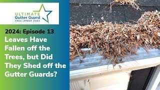 Leaves Have Fallen off the Trees but Did They Shed off the Gutter Guards 2024 EP13 [upl. by Ayrb]