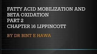 Beta oxidation of Fatty acids Chapter 16 Biochemistry made easy by Dr Bint e Hawa [upl. by Nigen344]