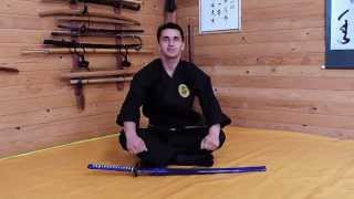 Ninjutsu Bujinkan  Rai Kou No Ken [upl. by Hinch]