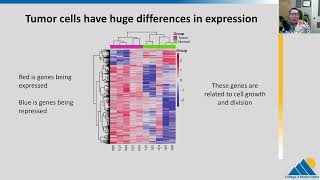 BIOL201 Ch167  Cancer and Gene Regulation [upl. by Uthrop871]