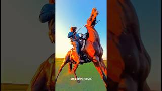 Hippotherapy Иппотерапия hippotherapy horseriding horsevideo horseride sporthorses [upl. by Isabea350]