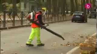 Ramassage des feuilles et branches après la tempête [upl. by Eeznyl]