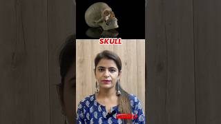 Complete Guide to Skull Anatomy Cranium Facial Bones Ear Bones amp Hyoid Explained [upl. by Adamo]