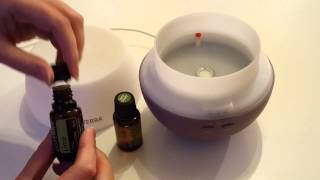 How to use a diffuser for your Essential Oils [upl. by Aikam]