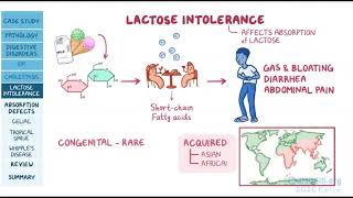 Malabsorption Syndromes [upl. by Helsa]