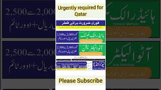 Auto electrician jobs in QatarHydraulic mechanic jot in QatarJobs in QatarQatar job vacancy 2024 [upl. by Susana9]