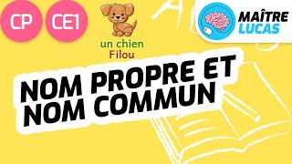 Nom propre et nom commun CP  CE1  Cycle 2  Français  étude de la langue Orthographe [upl. by Utta]