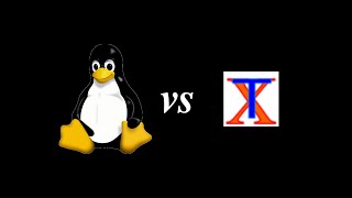 The Linux Virtual Terminal vs Xterm [upl. by Bret704]