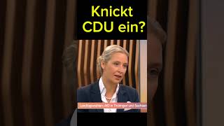 BRANDMAUER schadet CDU [upl. by Yenobe]