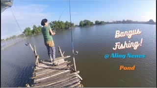 Fishing at Aling Nenes Pond  Bangus Fishing 3rd Session [upl. by Landmeier]