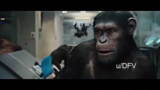 APES TOGETHER STRONG  GAME STOP WSB MEME [upl. by Estes893]