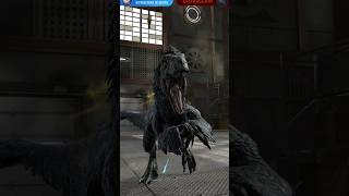 Dakotaraptor VS Águila de Haast Gen2  Jurassic World Alive dinosaur jurassicworld [upl. by Delbert]