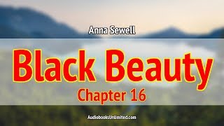 Black Beauty Audiobook Chapter 16 [upl. by Beulah]