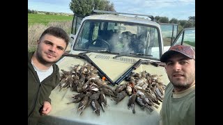 Cyprus Turdus Hunting 2024 tordozorzales [upl. by Henrion]