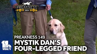 Meet Mystik Dans fourlegged companion [upl. by Jorgan720]