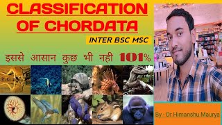 classification of chordata zoology classification of chordata [upl. by Geoffrey]