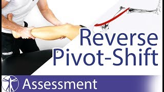 Reverse PivotShift Test  Posterolateral Rotatory Instability of the Knee [upl. by Einnaej]