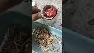 Altın eritme gold jewelry jewellery casting silwer gelindiamond golden goldjewellery [upl. by Strephonn]